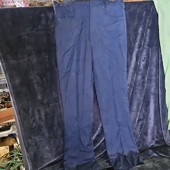 Blue Dickies - Picture 1 of 3